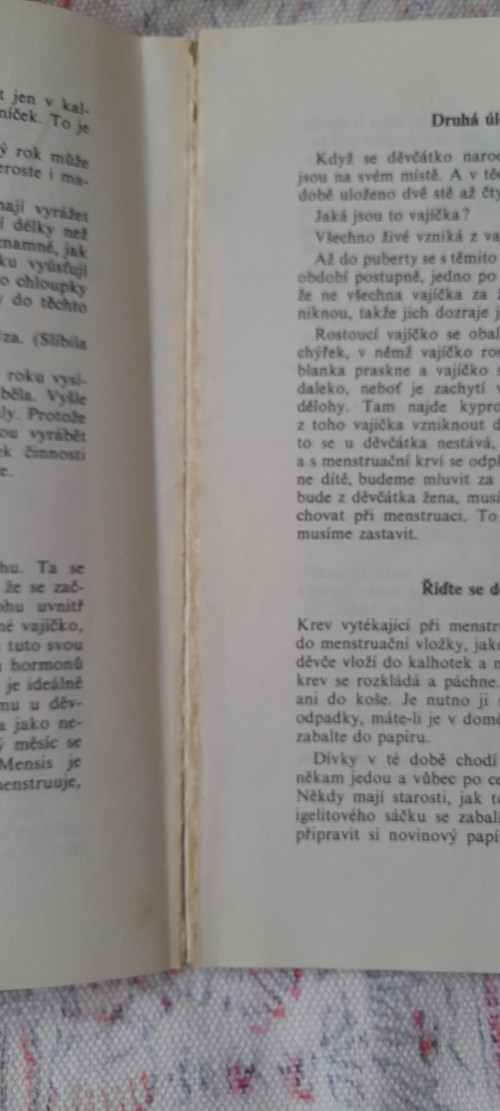 Děvčátka na slovíčko... — foto 3