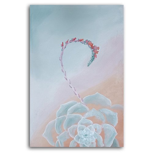 Obraz Jemný sukulent — foto 4