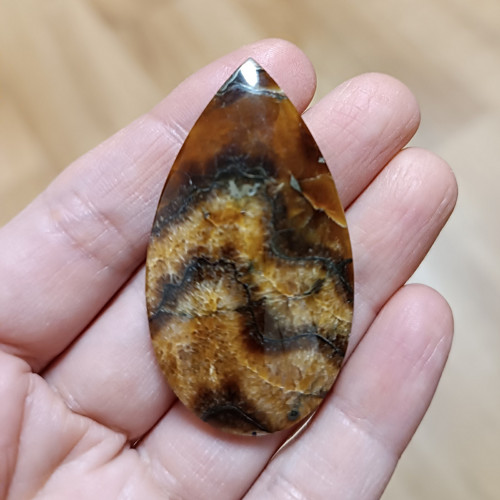 Amonitový Simbircit, ID 3812, 52x29 mm — foto 3