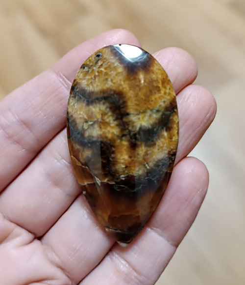 Amonitový Simbircit, ID 3812, 52x29 mm — foto 2