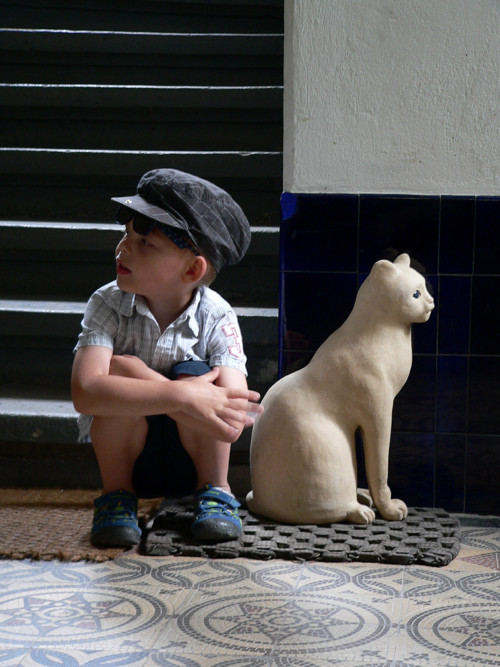 Kočka — foto 6