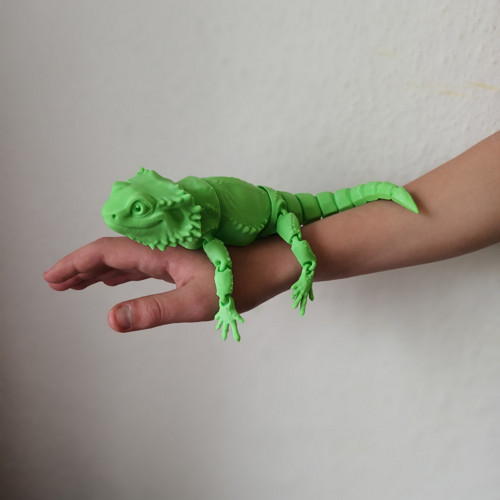 Agama vousatá — foto 2
