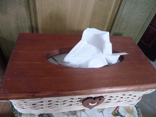 Kapesníkovník hnědá — foto 2