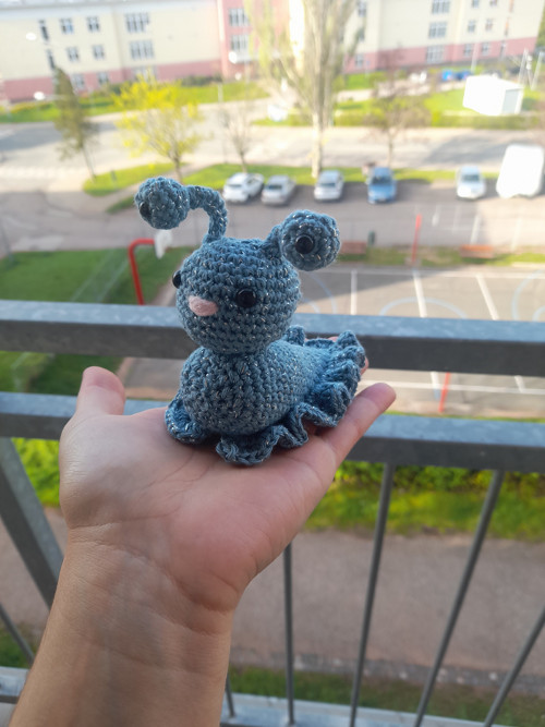 Třpytivý slimáček — foto 4