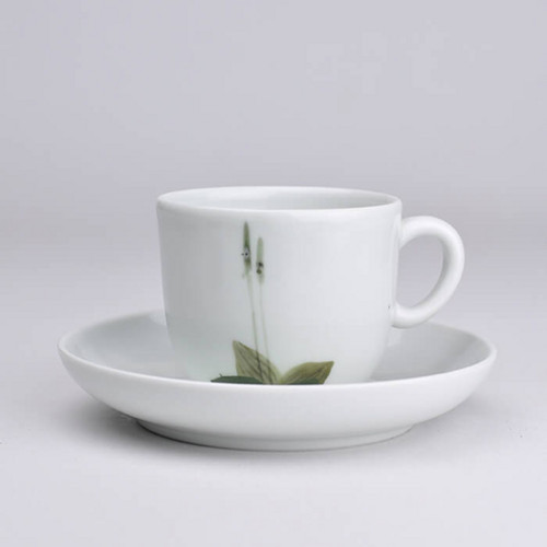 Cappuccino 150ml, Jitrocel rozložitý — foto 2