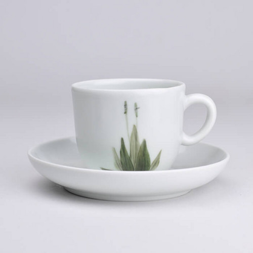 Cappuccino 150ml, Jitrocel kopinatý — foto 2
