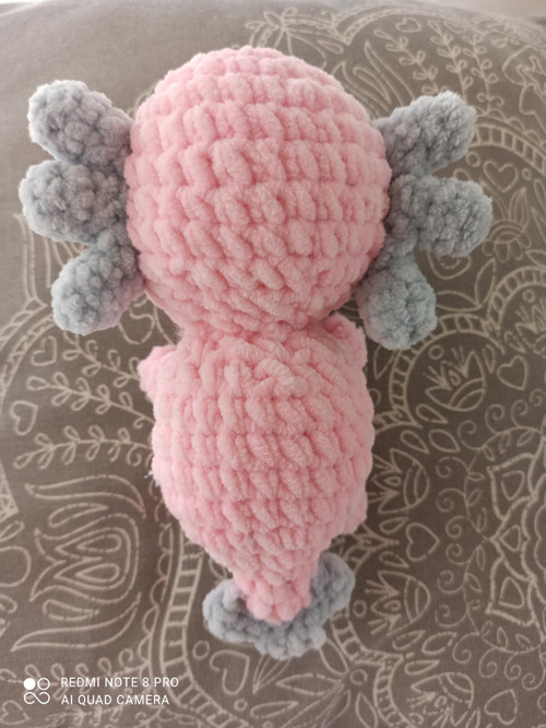 Axolotl — foto 2