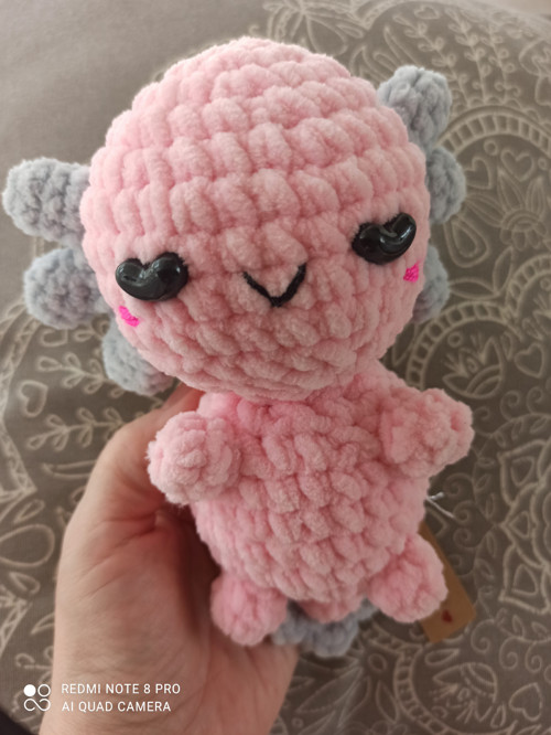 Axolotl — foto 4