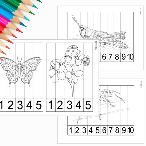 Puzzle Proužky - Hmyz Pdf — foto 2
