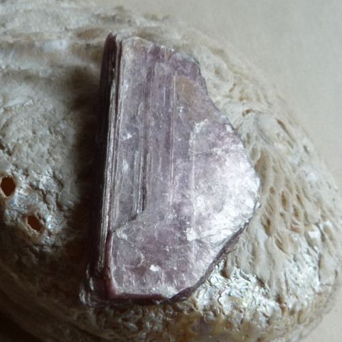 Lepidolit - 5,3 cm - Extra! — foto 3