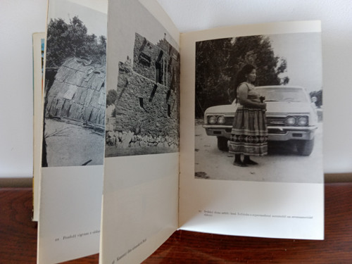 Indiání bez tomahavků - Miloslav Stingl — foto 4