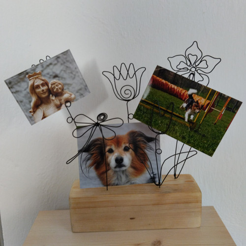 Zahrádka — foto 3