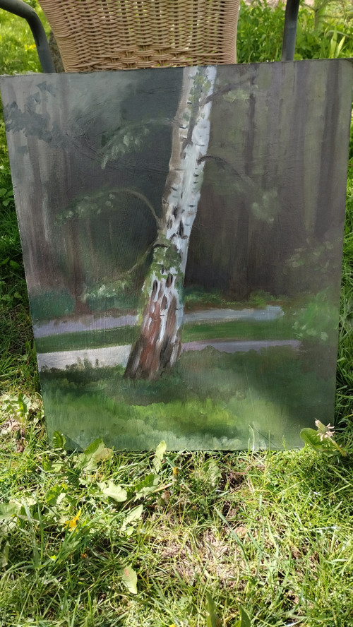 Kmen břízy — foto 2