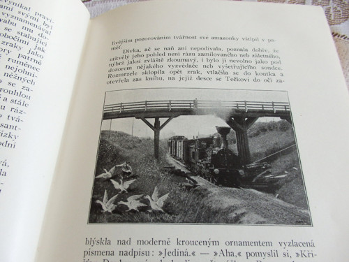 Jediná — foto 5