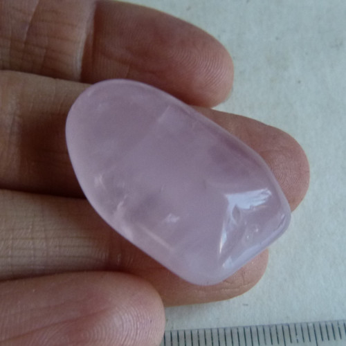 Růženín - 3,2 cm (R3) — foto 2