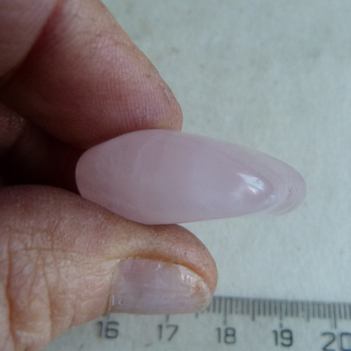Růženín - 3,1 cm (R4) — foto 6