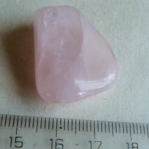Růženín - 2,8 cm (R6) — foto 5