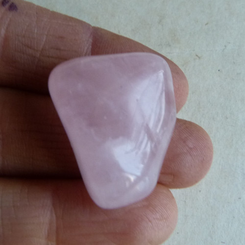 Růženín - 2,8 cm (R6) — foto 2