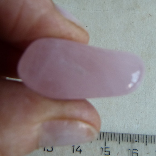 Růženín - 2,8 cm (R6) — foto 6