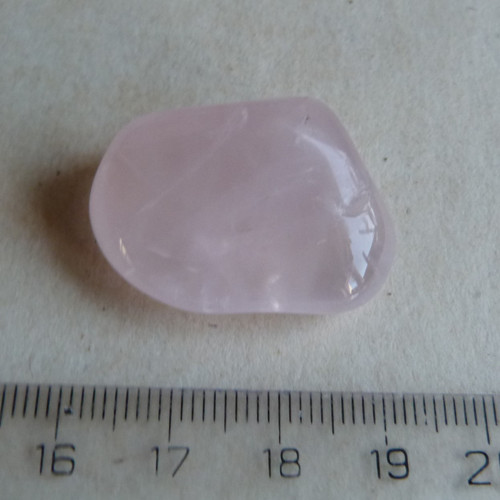 Růženín - 3,1 cm (R7) — foto 5
