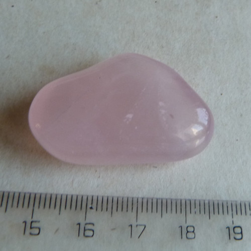 Růženín - 3,8 cm (R8) - Extra — foto 5