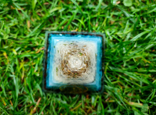 Orgonit velká pyramida, pampeliška — foto 4