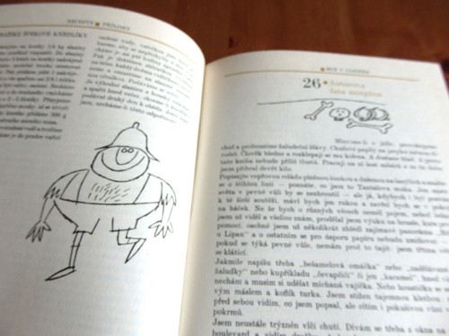 Muž v zástěře — foto 5