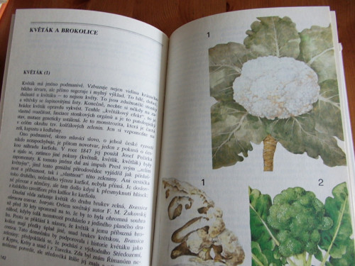 Zelená kuchyně — foto 3