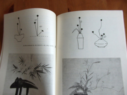 Ikebana — foto 3