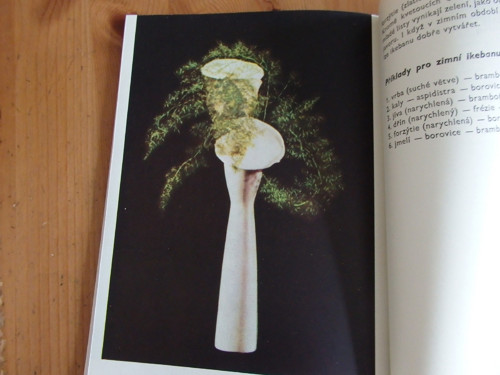 Ikebana — foto 4