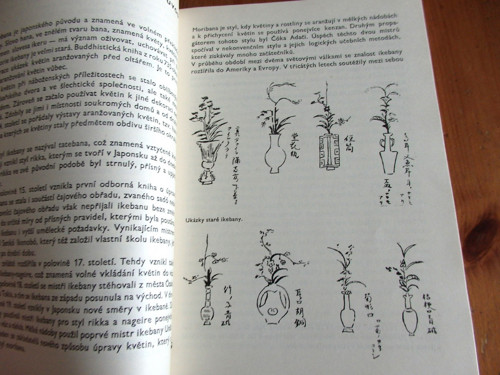 Ikebana — foto 2