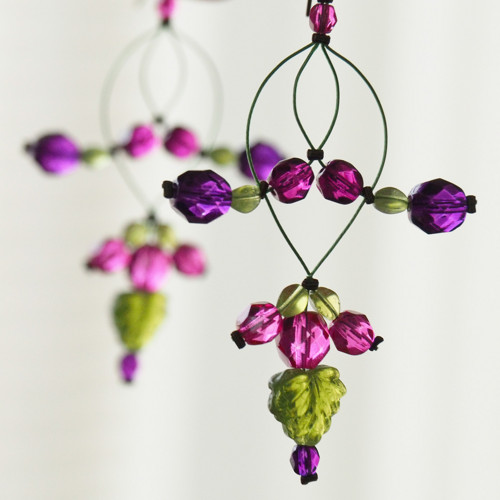 Zaplétanky fuchsijové — foto 2