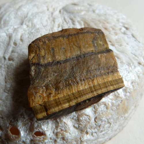 Tygří oko surové - 3,3 cm - Extra — foto 2
