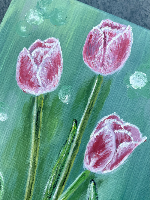 Tulipány — foto 3