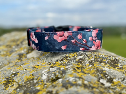 Obojek soft - Sakury 4 cm — foto 2