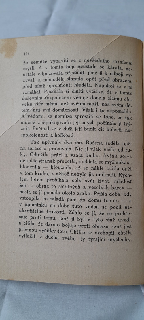 Paní fabrikantová — foto 3
