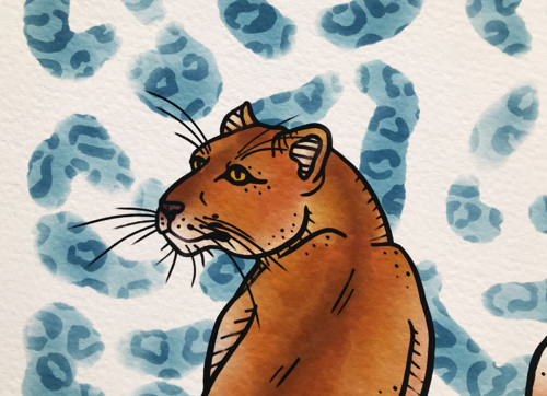 Jaguár - tisk digitální ilustrace — foto 3