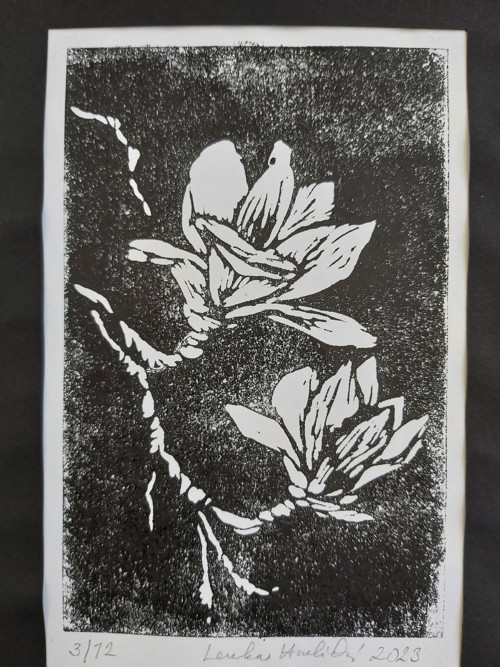Magnolie — foto 3