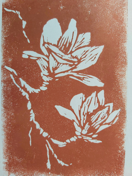 Magnolie — foto 2