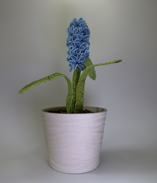 Hyacint — foto 3