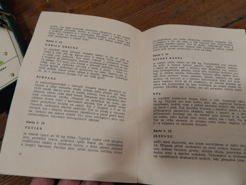 Hra Malá zoologie — foto 3