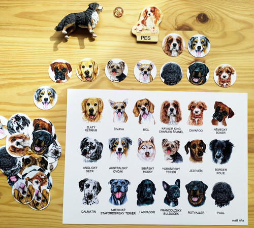 Pexeso PEJSCI — foto 4