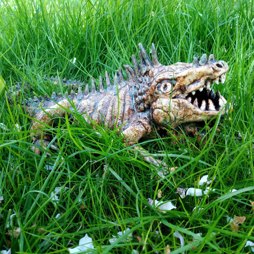 Drak — foto 2