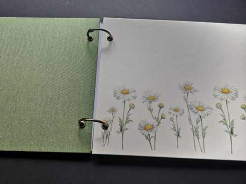 Fotoalbum — foto 2