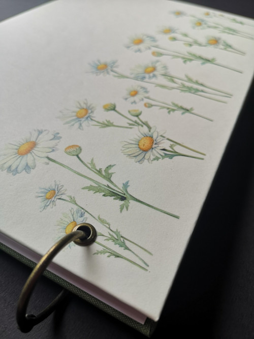Fotoalbum — foto 4