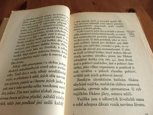 Mladé mužství — foto 3