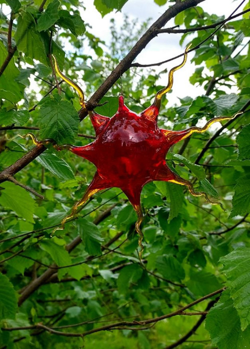 Červené sluníčko — foto 2