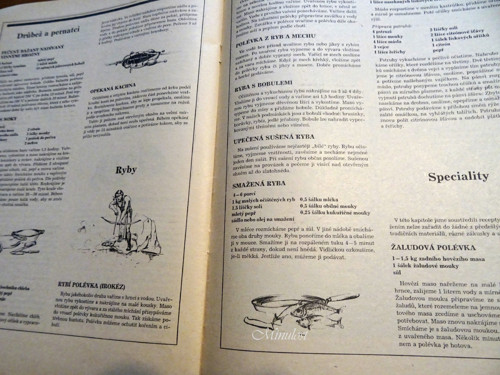 Indiánská kuchařka — foto 3