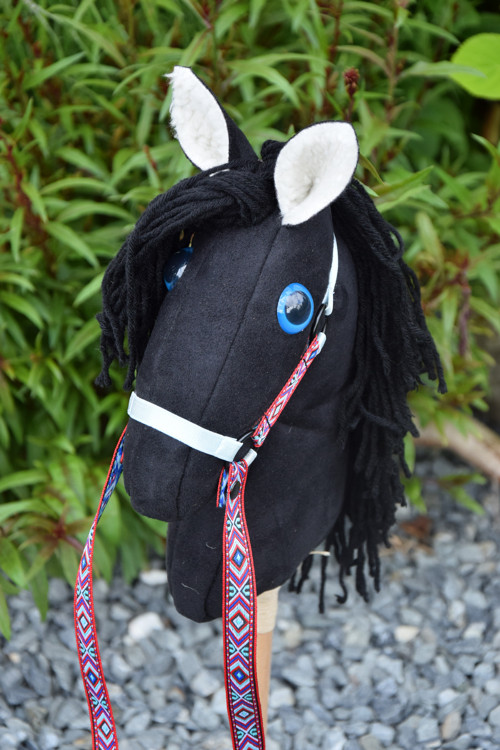 Hobbyhorse koník na tyči — foto 2
