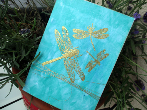 Dragonflies II. — foto 3